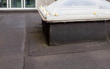 disadvantages of Bielby flat roofs